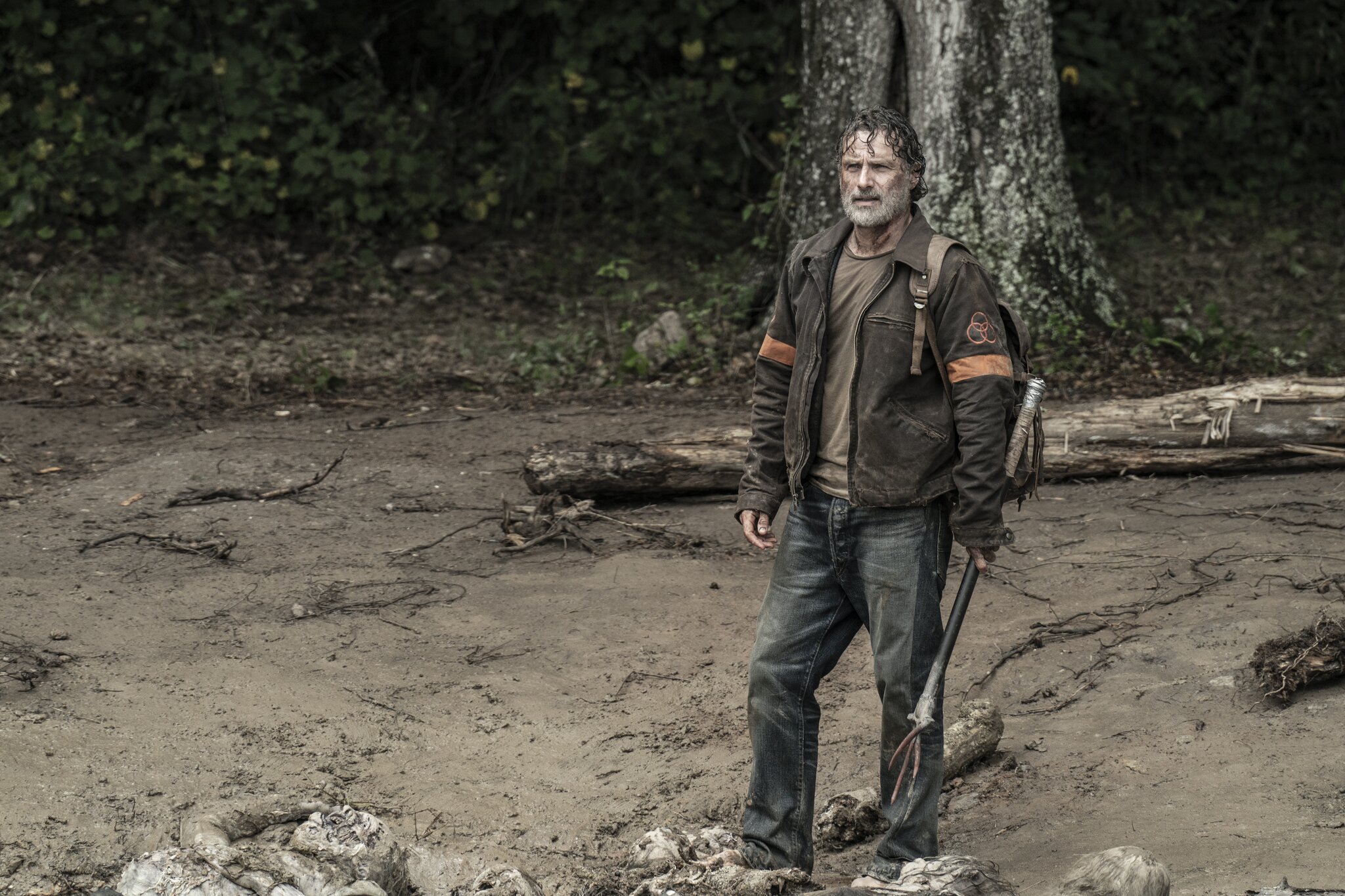  The Walking Dead Dreharbeiten Zu Spin off Mit Rick Und Michonne Beginnen