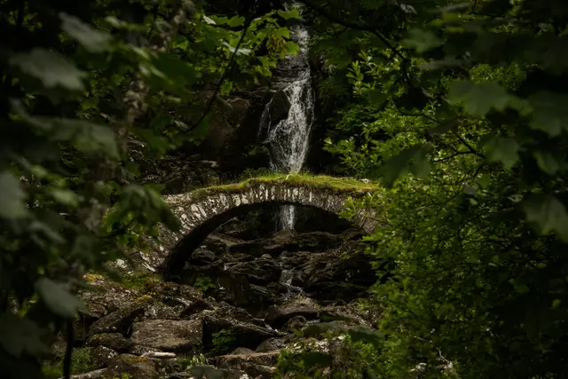 Symbolfoto | Foto: Foto von Luke Paris auf Unsplash